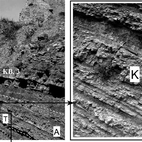 Upper Half Of The Slope Calcarenite Formation Scf Compare With Fig