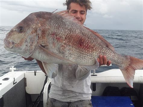 Monster Snapper Set To Break Record Fishing World Australia
