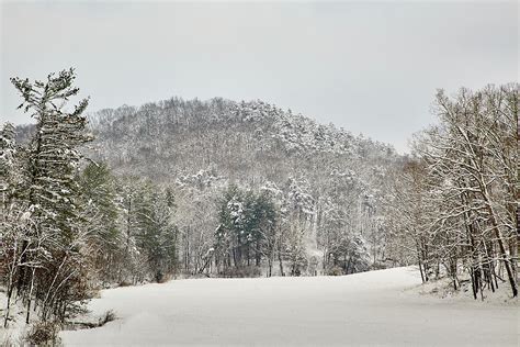 Winter Meadow Photograph By Brian Simpson Fine Art America