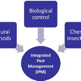 Biological control is the use of living organisms to maintain pest populations below damaging levels. (PDF) Biological pest control in citrus: an alternative to ...