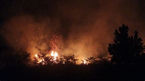 Kebakaran Lahan Terjadi Di Kabupaten Bungo 1 Hektar Lahan Kosong Ludes