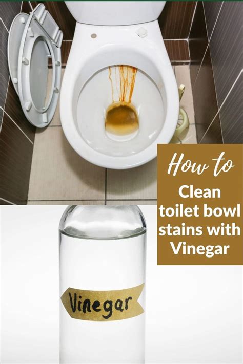How To Clean Toilet Bowl Stains With Vinegar Toilet Bowl Stains Clean Toilet Bowl Stains