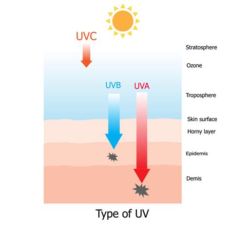 Uva Uvb And Uvc Rays Wanderglow