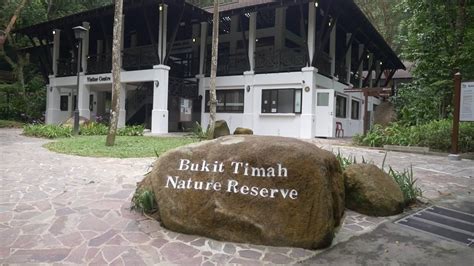 explore the revamped bukit timah nature reserve youtube