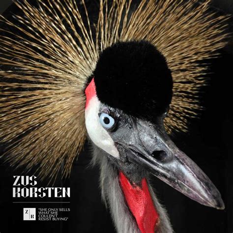 Amazing Crowned Crane Taxidermy At 1stdibs