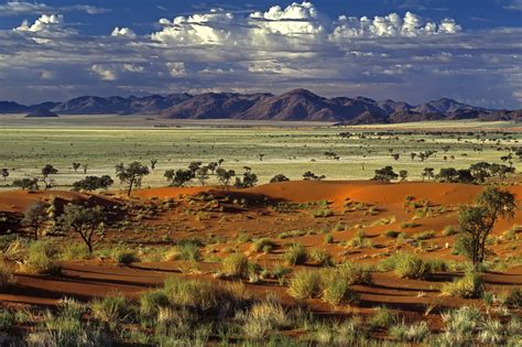 Self Drive Safari Through Wonderful Namibia Aroundaboutcars Blog