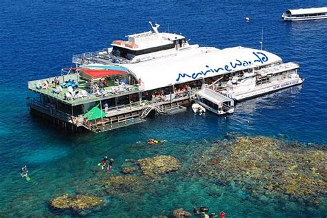 Great Barrier Reef Tours From Cairns And Port Douglas