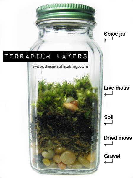Mini Moss Terrariums Br