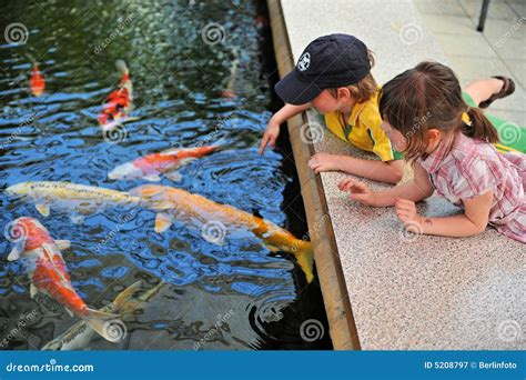 Children Playing With Fishes Stock Image Image Of Fishes Girl 5208797