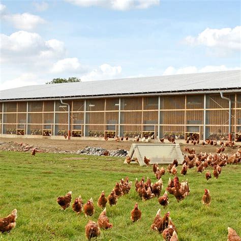 Broiler Poultry Farm House Design Poultry Farm Design Poultry Farm Farm