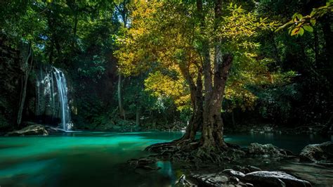 Beautiful Nature Forest River Wallpapers Hd High