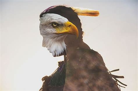 From wikipedia, the free encyclopedia. Benjamin Oscar | Bald eagle, Native american, Animals