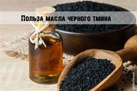 Черный тмин масло как похудеть Полезные свойства масла черного тмина и инструкция приема Полезные свойства масла черного тмина и инструкция приема Черный тмин масло как похудеть