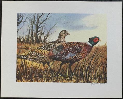 Pheasant Art Print Pheasant Hunting Print Bird By Wharoldhancock Posters And Prints Art Prints
