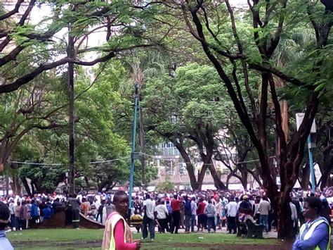 Pics Mdc Demoprotestors Flood Harare Cbd Iharare News