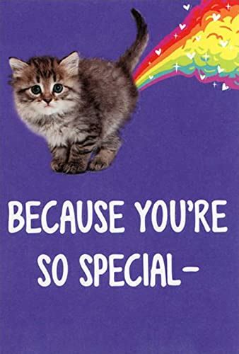 15 Best Funny Cat Valentine Cards To Make Your Loved One Laugh