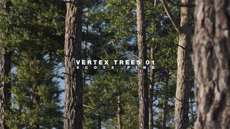 Vertex Trees Scots Pines Bundle 3dsmaxc4d And Fbx Darstellungsart