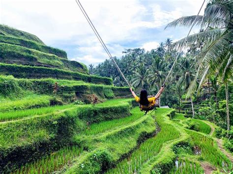 7 Thing You Must Know About Bali Tegalalang Rice Terrace