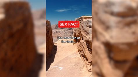 Sex Fact Did You Know Flipboard