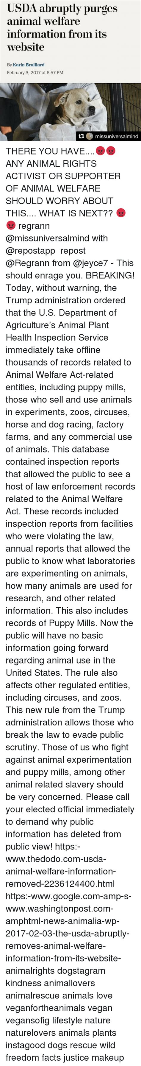 Usda Abruptly Purges Animal Welfare Information From Its Website By