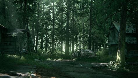 The Forest Game Background