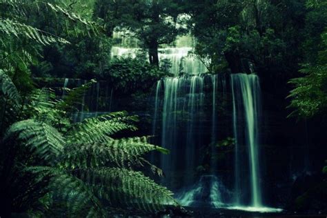 Forest Waterfall Wallpaper ·① Wallpapertag