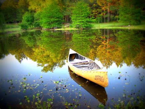 Free Stock Photo Of Canoe Lake And Trees Download Free Images And