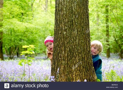 Kids Hiding Behind A Tree Stock Photo Alamy