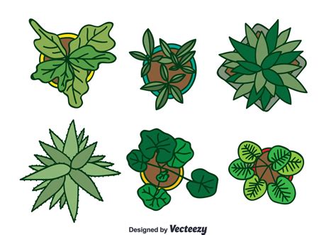 Plant On Pot Top View Collection Vector 122042 Vector Art At Vecteezy