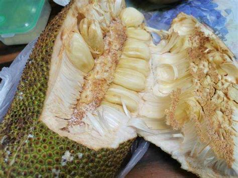 Top 10 How To Eat A Breadfruit