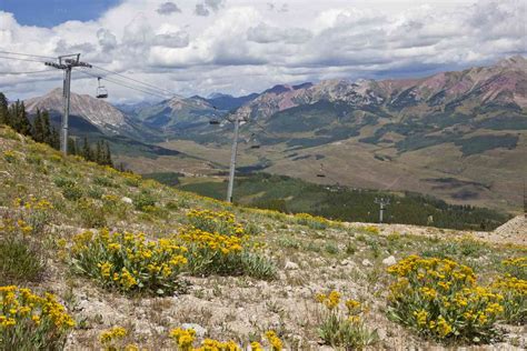 Best Things To Do In Crested Butte In The Summer