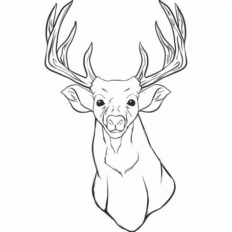 Color in this picture of a baby deer and share it with others today! Reindeer Head Coloring Pages - Coloring Home