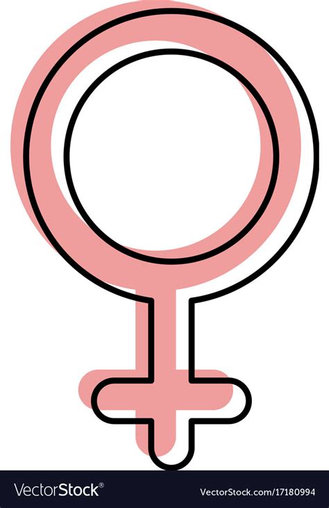 Gender Symbol Of Women On White Background Vector Image