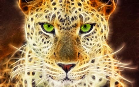 Neon Animal Wallpapers 58 Images