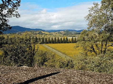 5 Top Sonoma Wineries To Visit Sonoma County Wineries