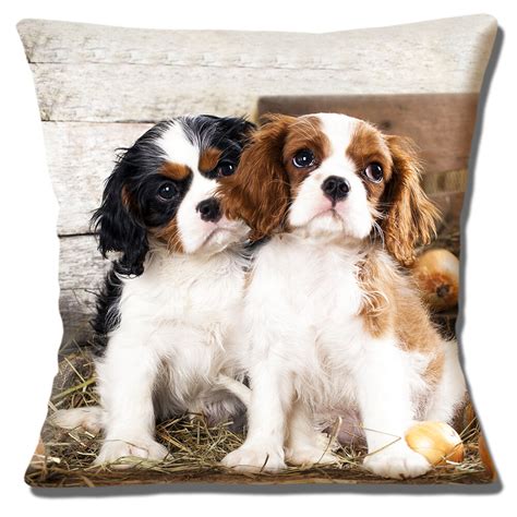 King Charles Cavalier Spaniel Puppies Cushion Cover Black