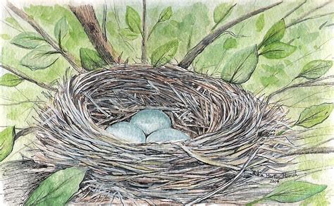 Robins Nest Painting By Robin Martin Parrish