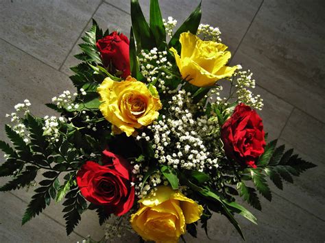 Find images of rose bouquet. Free picture: bouquet, green leaf, arrangement, flora ...