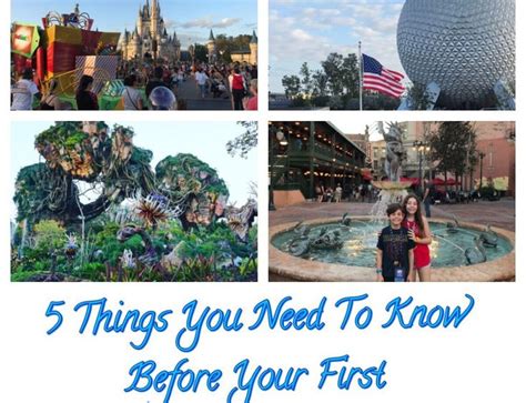 Free Things To Do Around Disney World Disney World Vacation Free