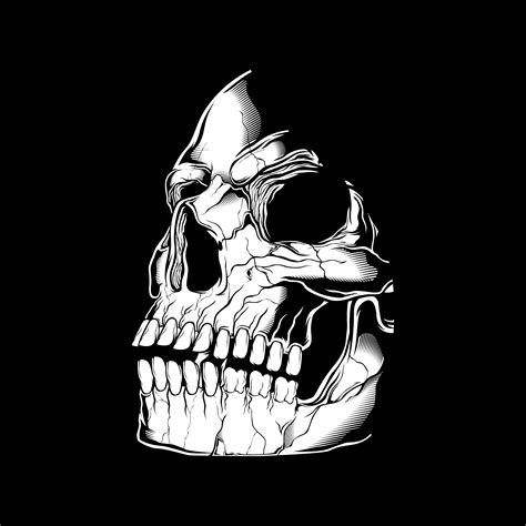 Side View Of Spooky Skull 1180621 Vector Art At Vecteezy