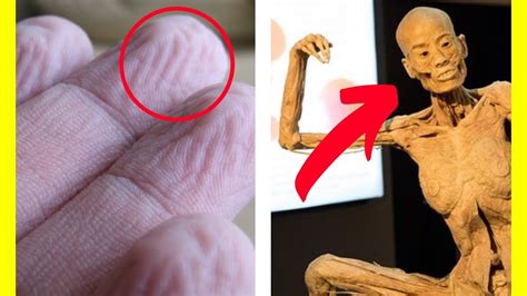50 Jaw Dropping Facts About The Human Body Youtube