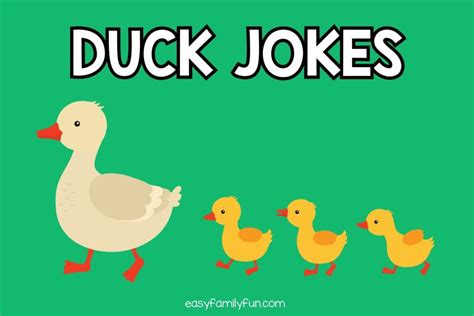 125 Duck Jokes That Make You Quack With Laughs
