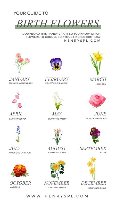 Birth Flower Chart By Month