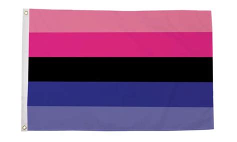 omnisexual flag 5 x 3 ft 100 polyester with eyelets lgbtq pride £6 99 picclick uk