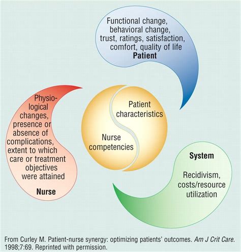 Synergy Theory Nursing Theory Critical Care Nursing Nurse Communication
