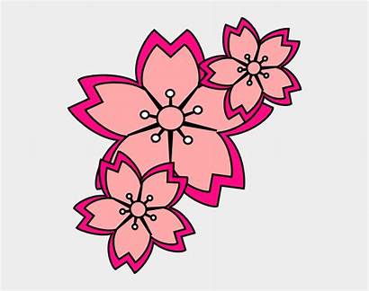 Clip Cherry Blossom Simple Sakura Cliparts