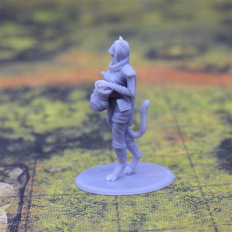 3d Printed Miniature Tabaxi Female Rogue With Treasure Etsy Canada