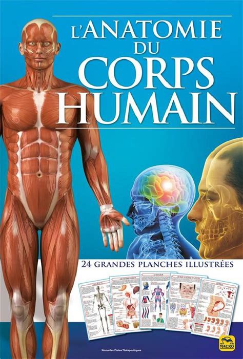 L anatomie du corps humain Collectif Broché MACRO EDITIONS