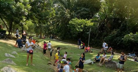 There are some roads, trails popular with mountain bikers bukit kiara trail. Taman persekutuan Bukit kiara ttdi - mini stream for kids