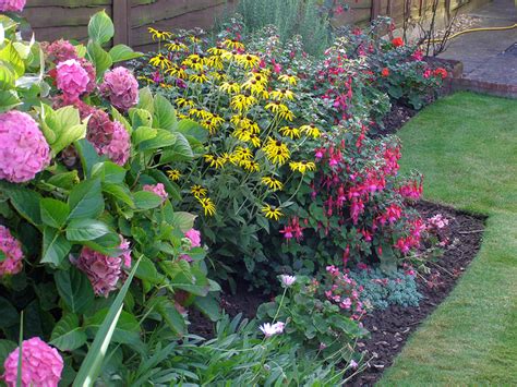 Amenajarea gradinii Folosirea florilor perene în grădină 14 25